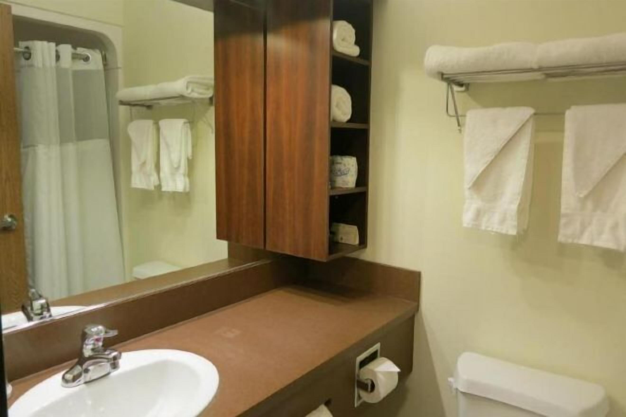 Bathroom | Combined shower/tub, eco-friendly toiletries, hair dryer, towels