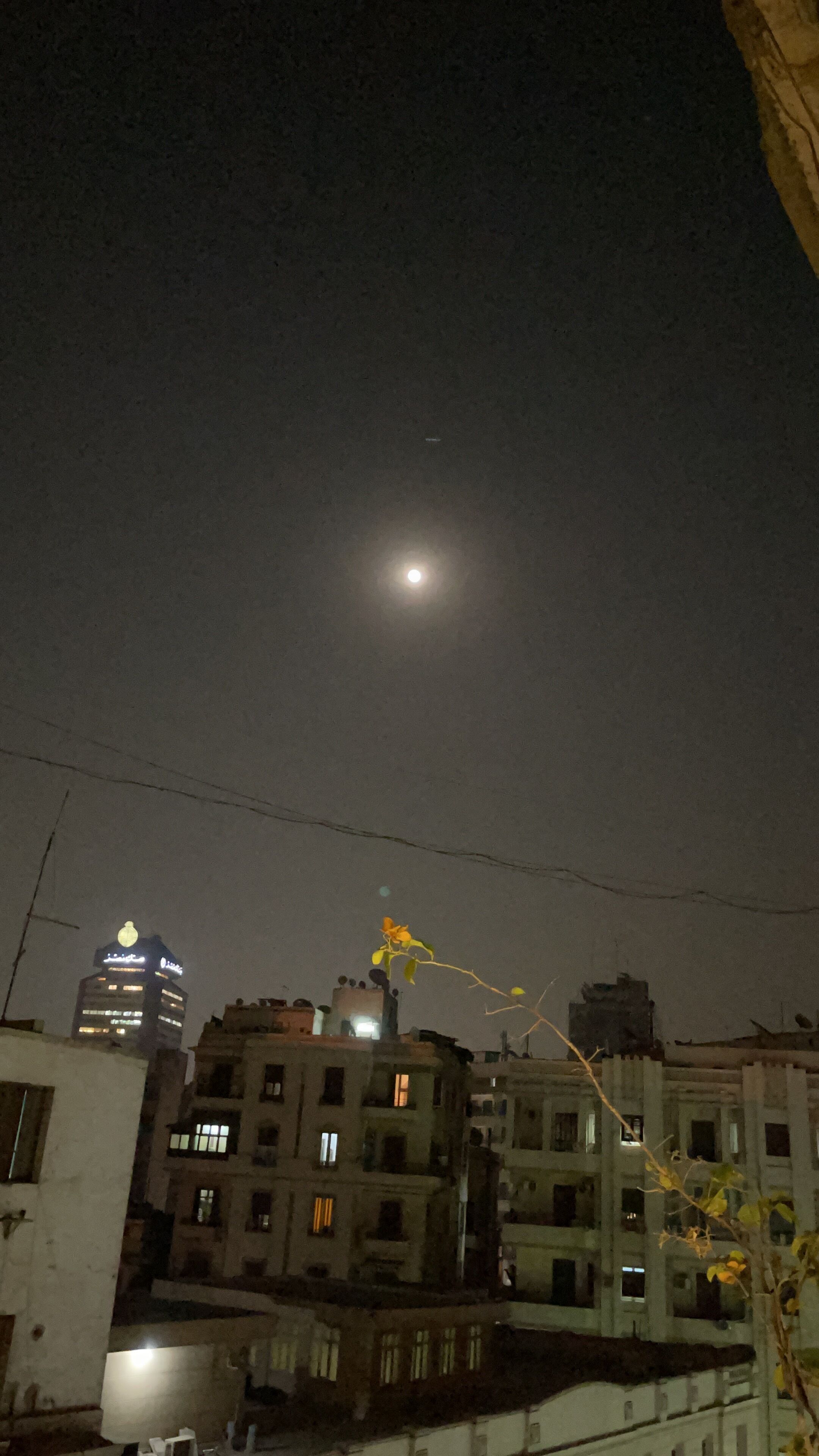 Une scène nocturne avec une pleine lune, des bâtiments dont les fenêtres sont illuminées et un ciel dégagé.
