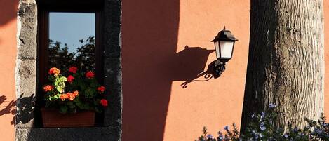 A stone-framed window with red flowers, a wall-mounted lantern, and a tree trunk.