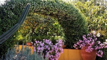 Jardin
