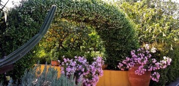 Jardín