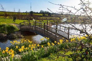 Jardines del alojamiento