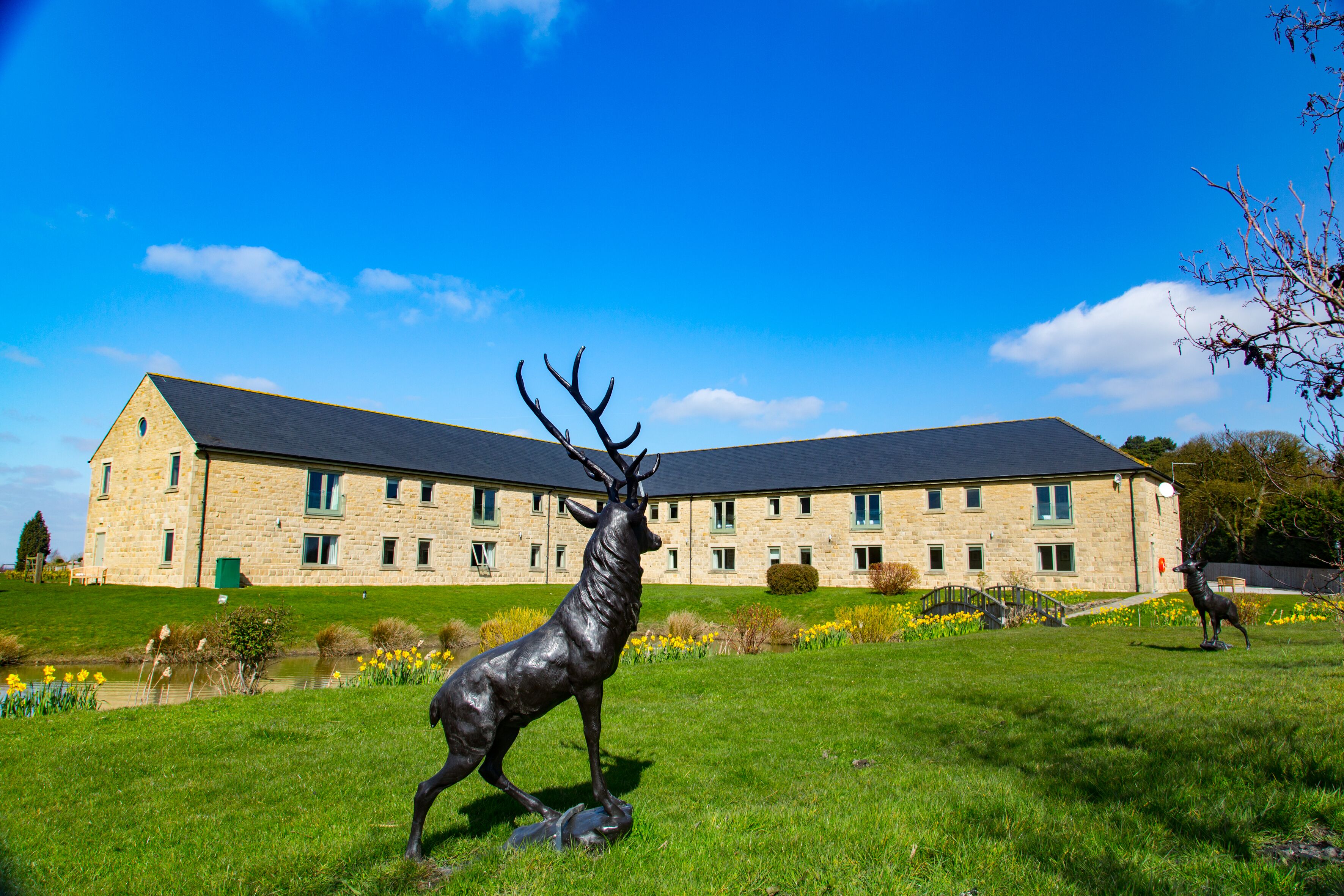 feature room | lake view