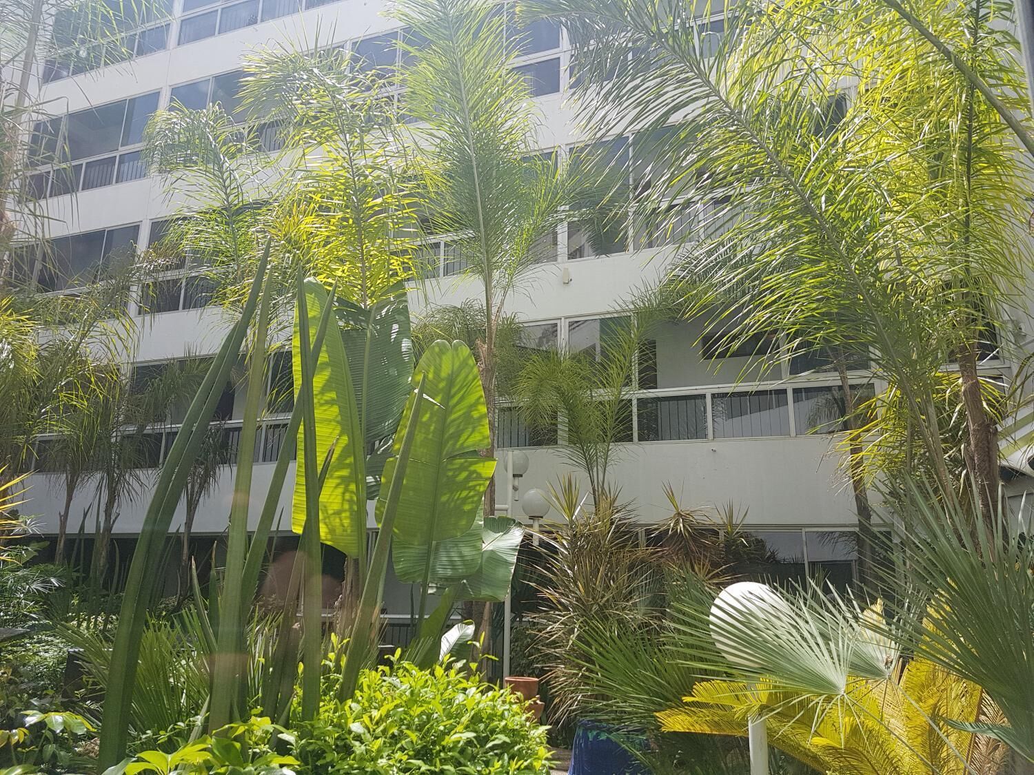 Jardines del alojamiento