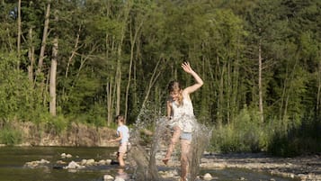 Un río con rocas y árboles al fondo.