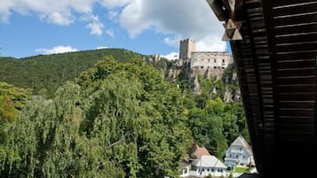 A view of a castle on a hill with lush greenery and a few buildings in the foreground.