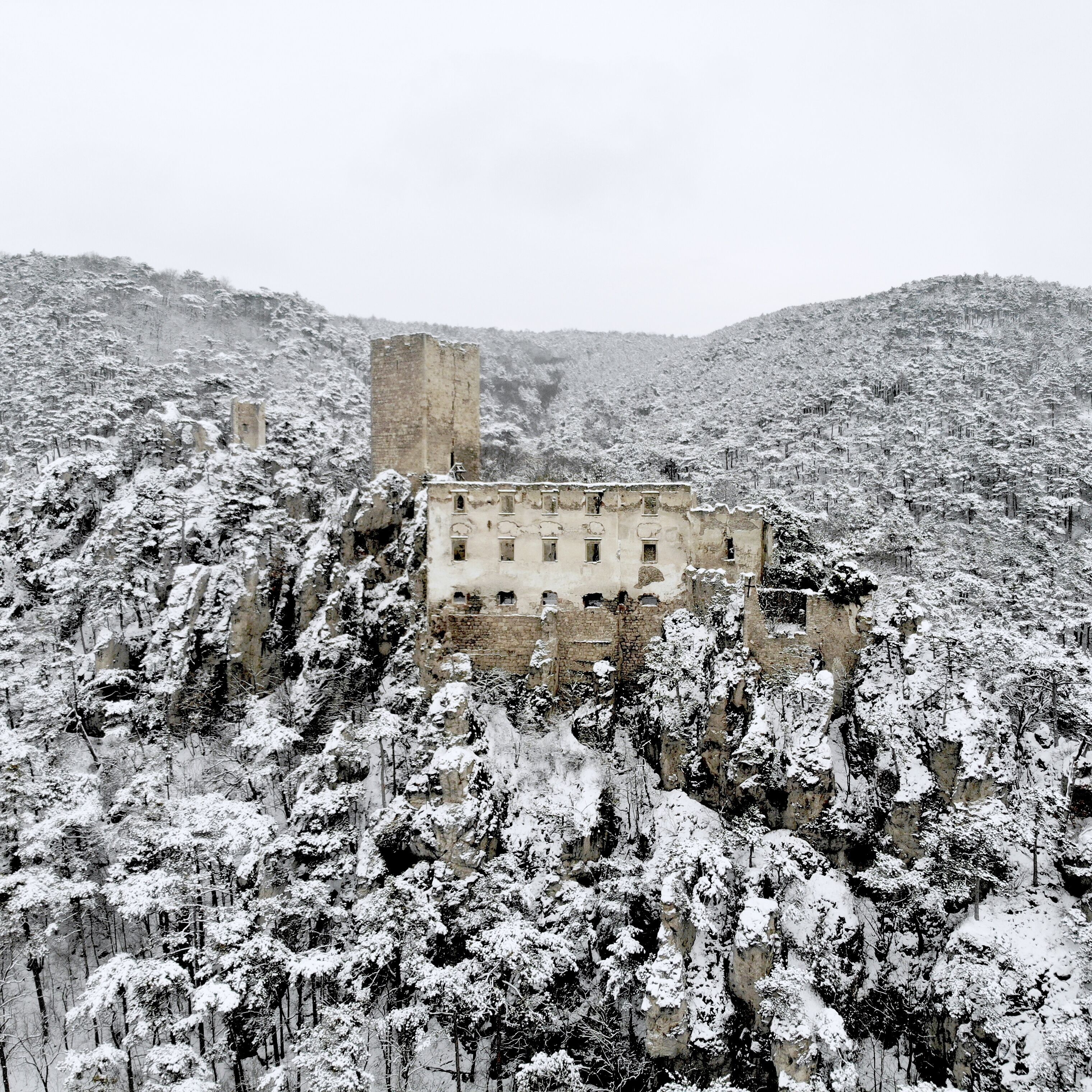 A castle surrounded by snow-covered trees.