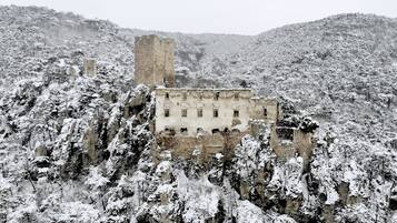 A castle surrounded by snow-covered trees.