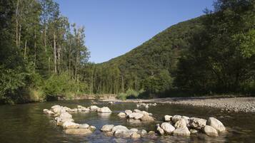 Ein Fluss mit großen Felsen inmitten üppiger Wälder und einer Hügelkulisse im Hintergrund.