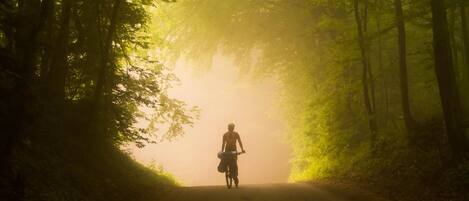 Una persona montando en bicicleta por un sendero en el bosque.