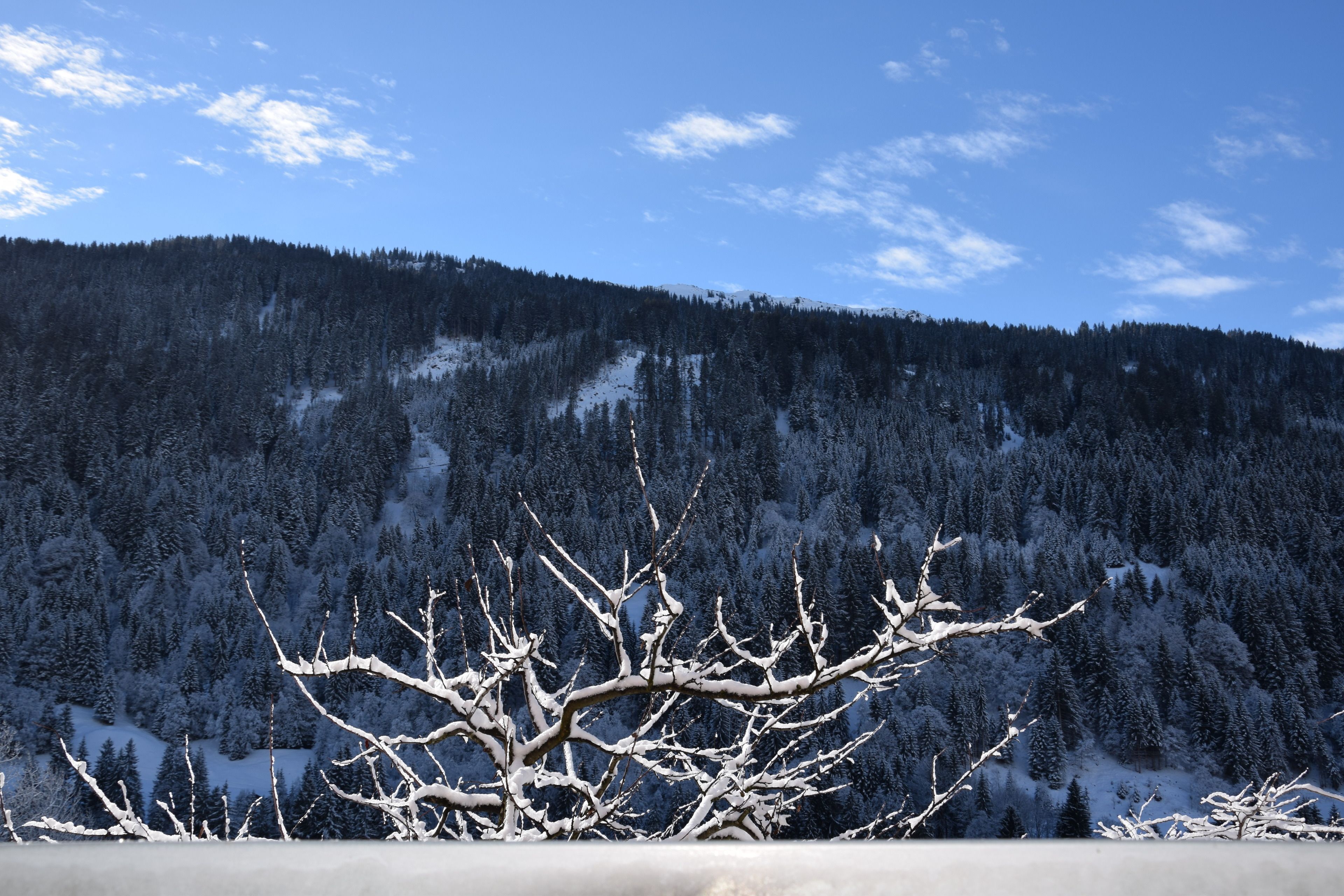 classic double room, mountain view | mountain view