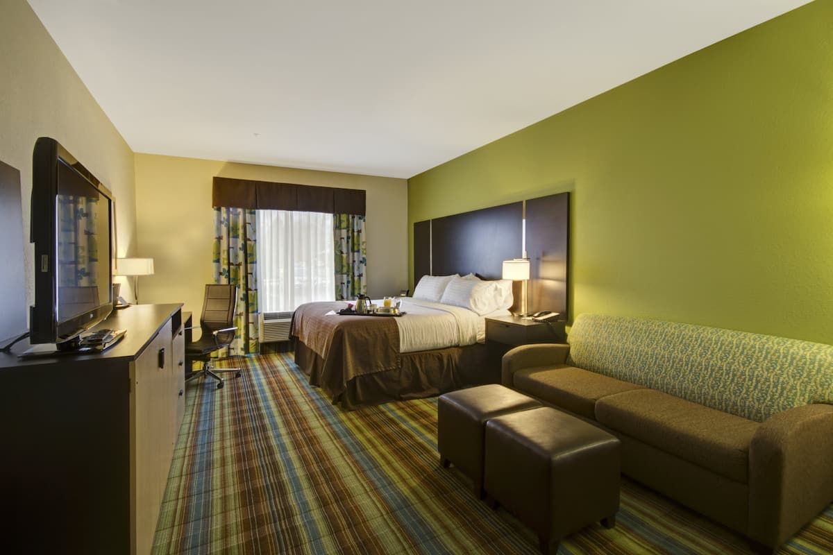 A hotel room with a bed, a desk, a chair, a sofa, and a television.