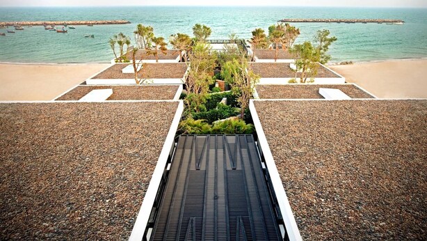 Terraza en la azotea con vista al mar, rodeada de palmeras y un sendero de piedras.