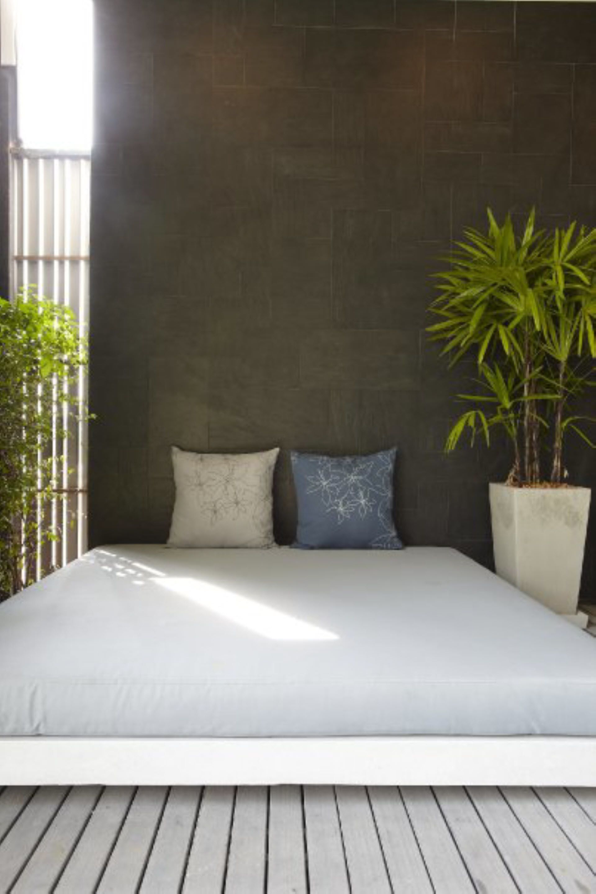 A modern bedroom with a dark wall, a bed with white and blue pillows, and a potted plant.