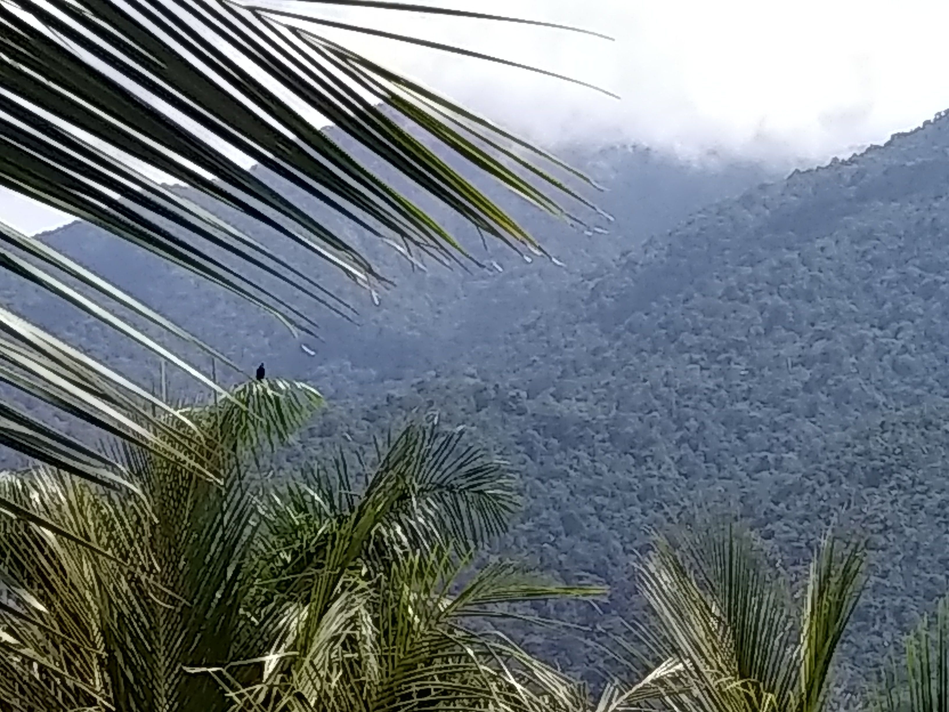 twin room | mountain view