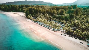 Plage, chaises longues, parasols, bar de plage