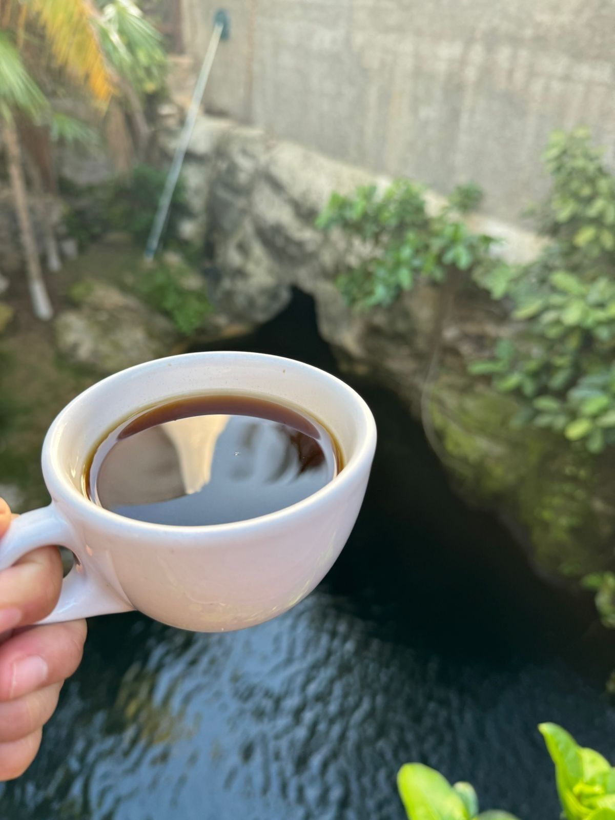 Photo - Posada Sian Kaan Playa del Carmen - Wellness Oriented Hotel