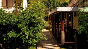 A pathway leading to a building with multiple balconies and a covered outdoor seating area. - Posada Sian Kaan Playa del Carmen - Wellness Oriented Hotel (Playa del Carmen)