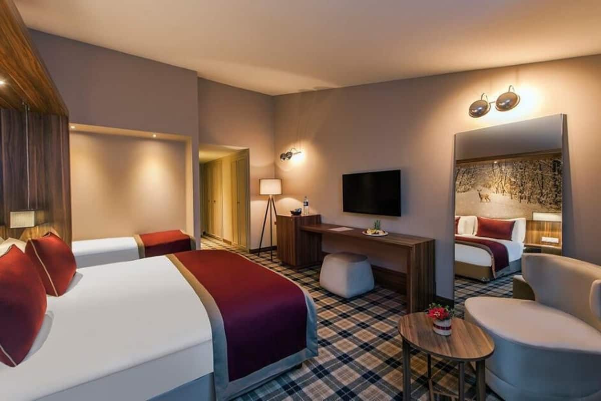 standard room | free minibar, in-room safe, desk, free cots/infant beds