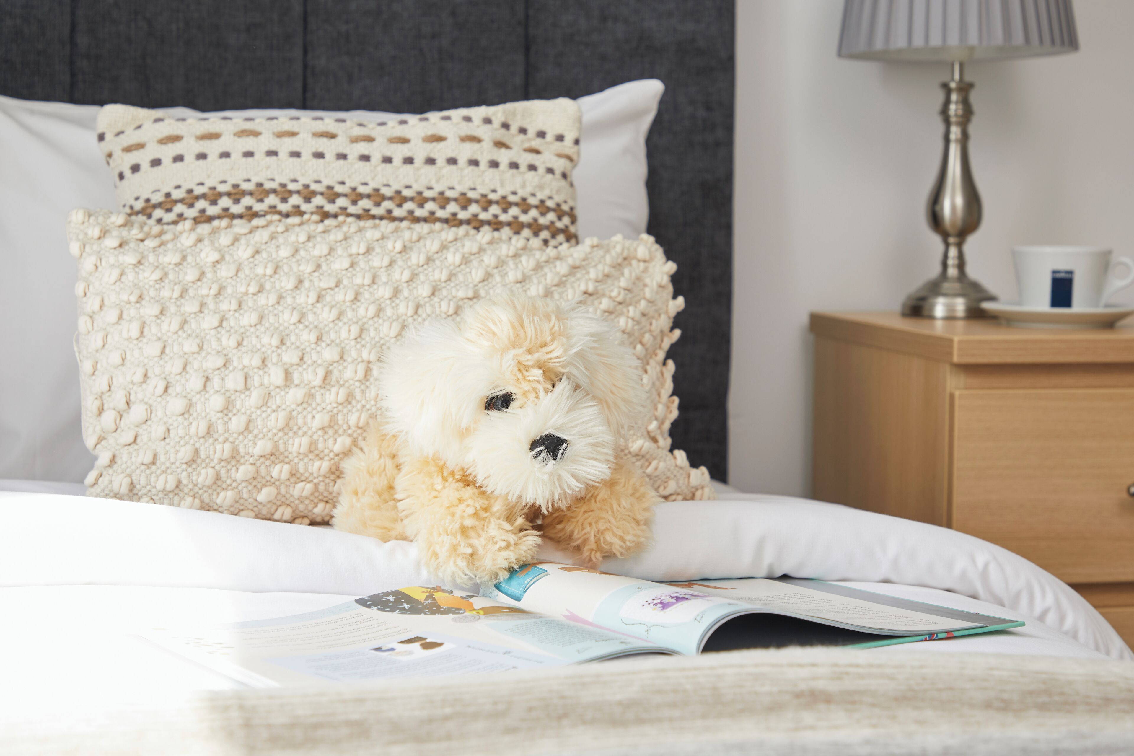 Una cama con edredón blanco, una manta tejida y un perro blanco pequeño.