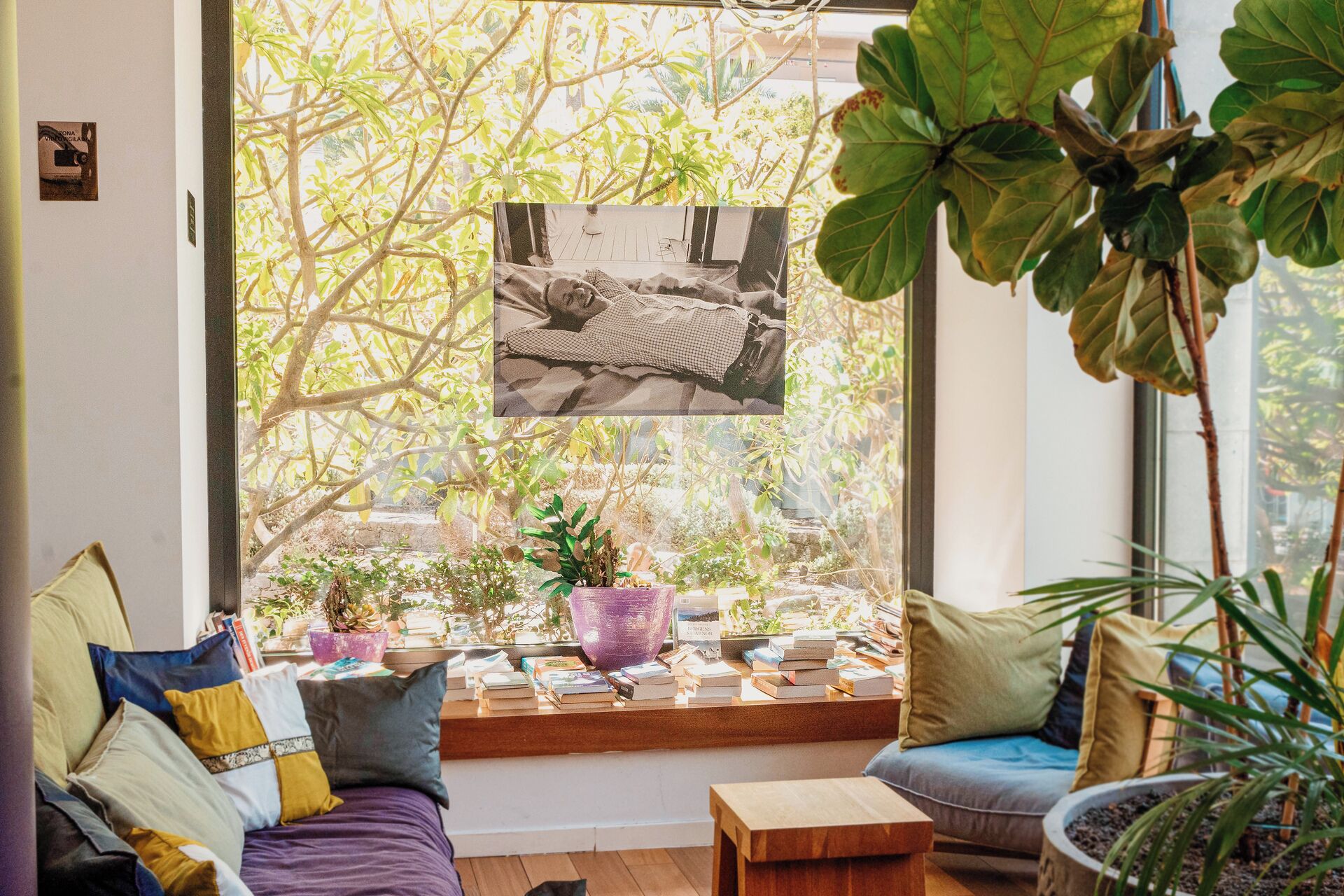 Un rincón acogedor para leer, con un asiento junto a la ventana, libros y plantas en macetas.