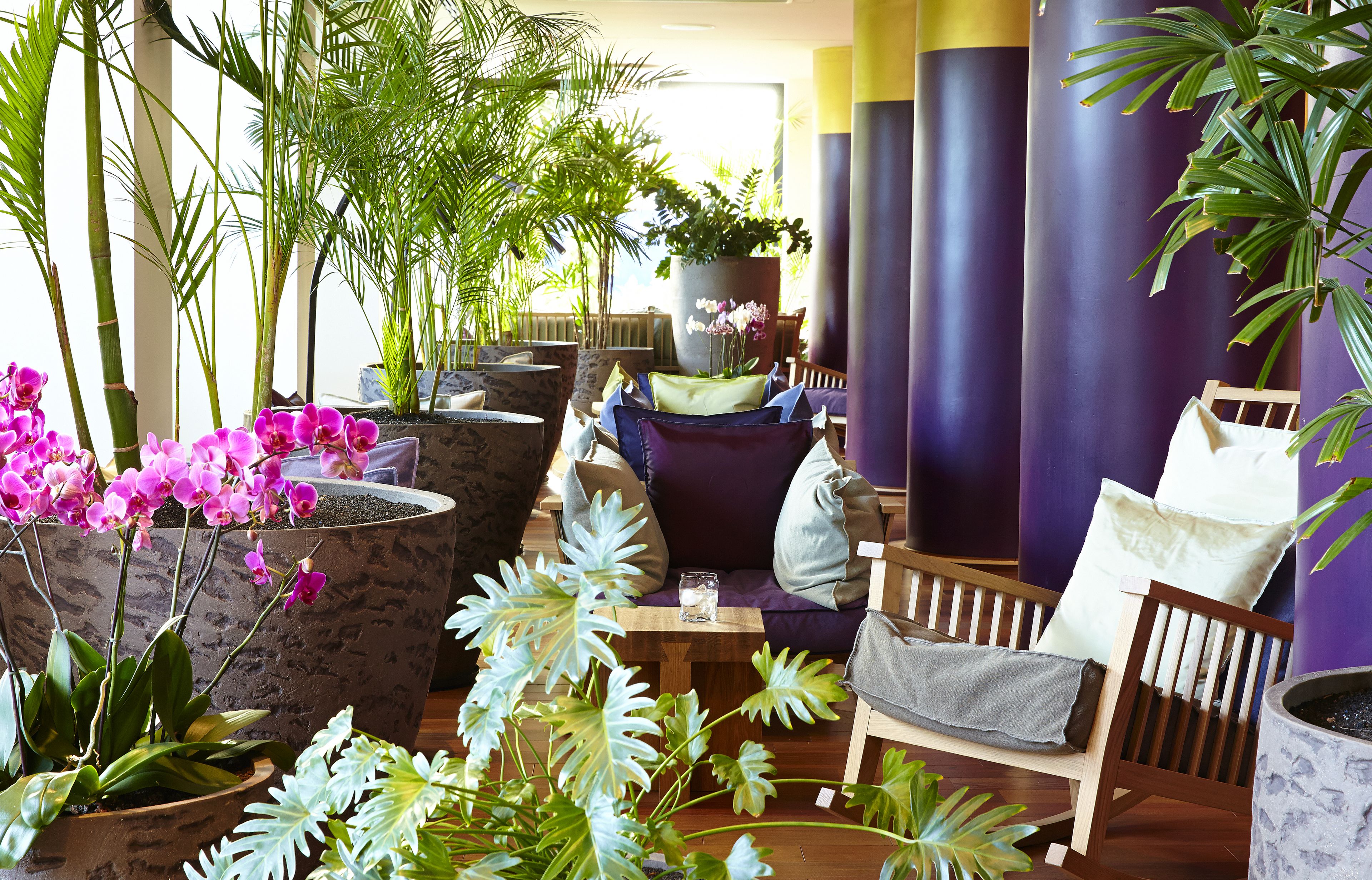 A lounge area with a sofa, chairs, and a coffee table, surrounded by potted plants and orchids.