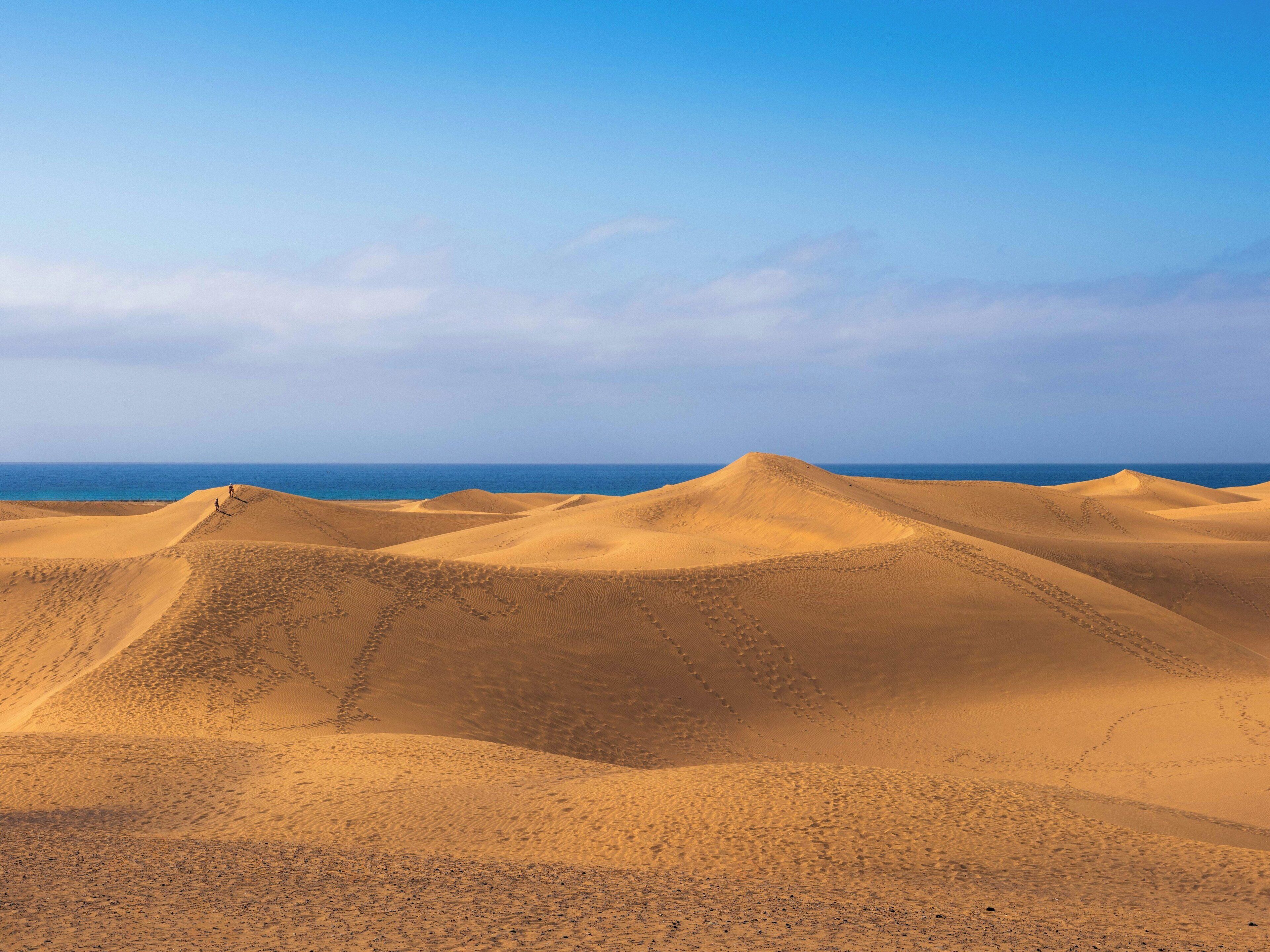 Paesaggio desertico con dune di sabbia e cielo sereno.