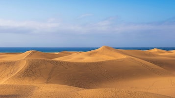 Paisaje desértico con dunas de arena y cielo despejado.