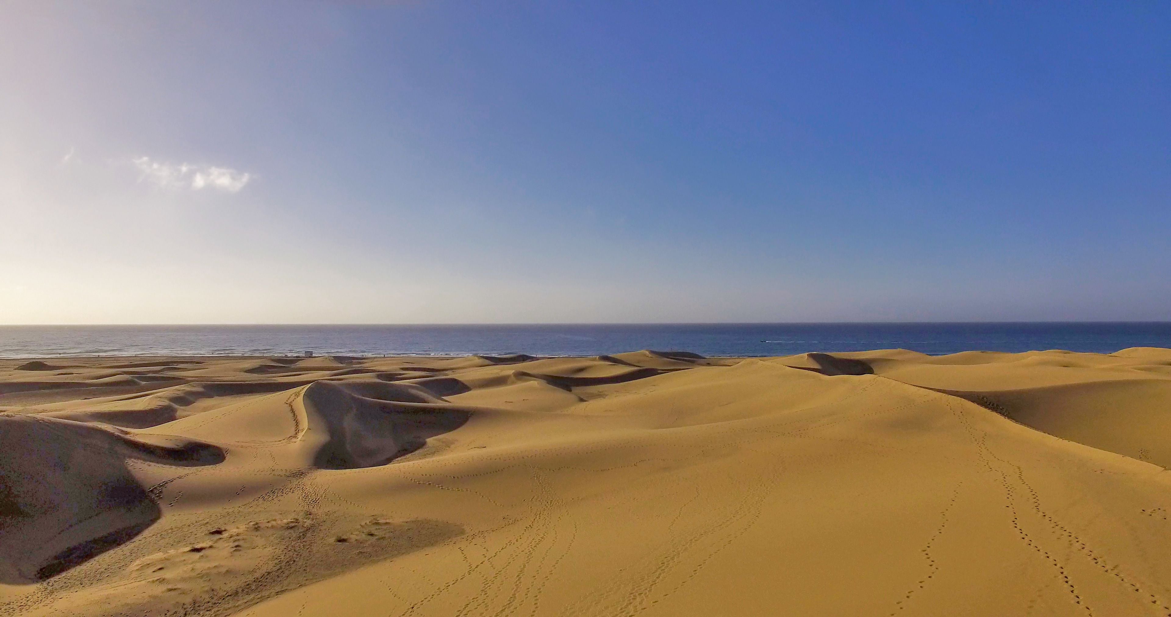 A vast desert landscape with undulating sand dunes and a clear sky.