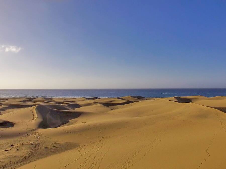 Extenso paisaje desértico con dunas ondulantes y un cielo despejado.