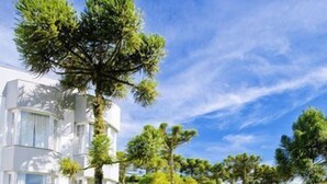 Un edificio moderno con fachada blanca, rodeado de un jardín bien cuidado con diversas especies de árboles y un sendero pavimentado.