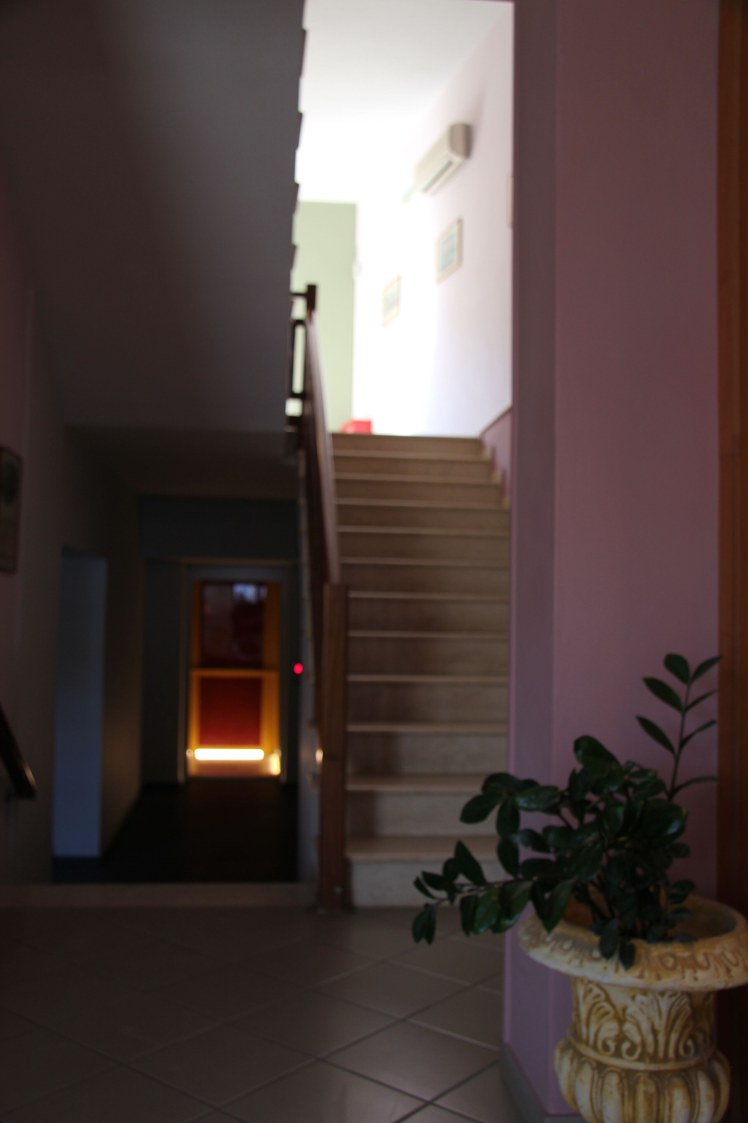 A staircase leading to a landing with a potted plant on the right.