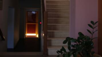 A staircase leading to a landing with a potted plant on the right.