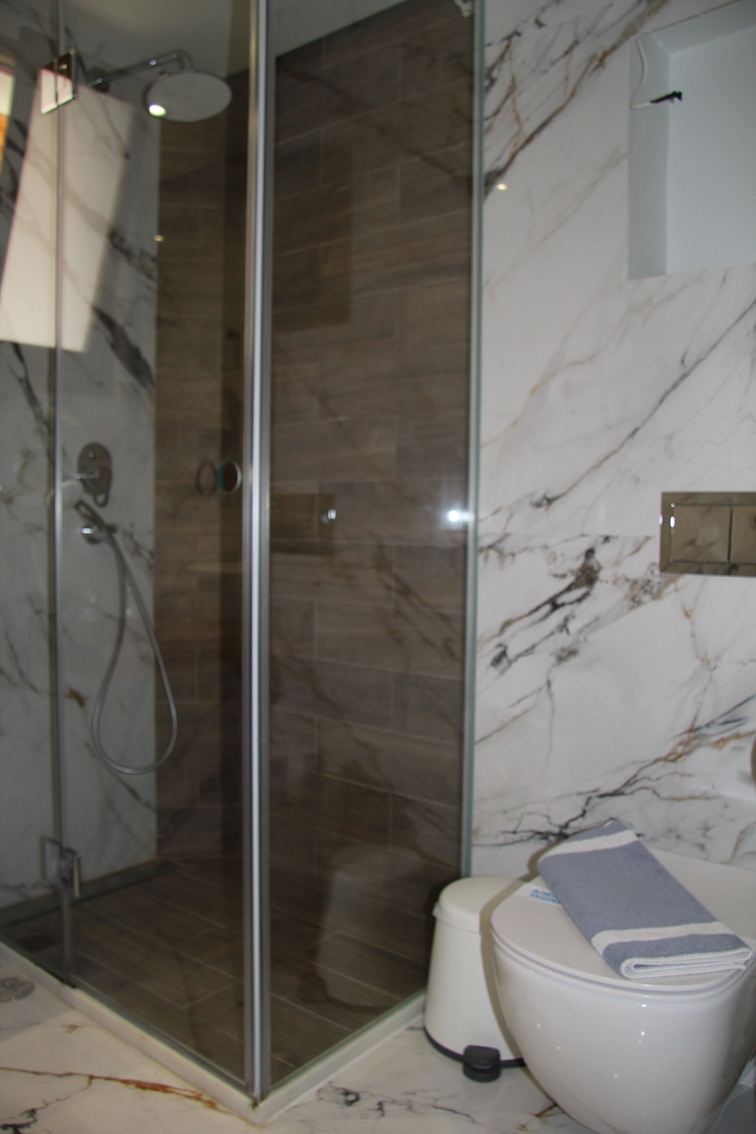 A bathroom with a glass-enclosed shower, a toilet, and a marble wall.