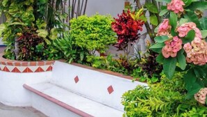 A garden with various plants and a white bench. - Hotel Hacienda Vallarta Playa Las Glorias (Puerto Vallarta)