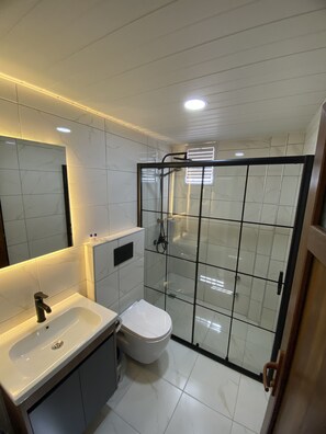 A modern bathroom with a glass-enclosed shower, a white sink, and a toilet.