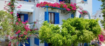 Rena Valetta Studios