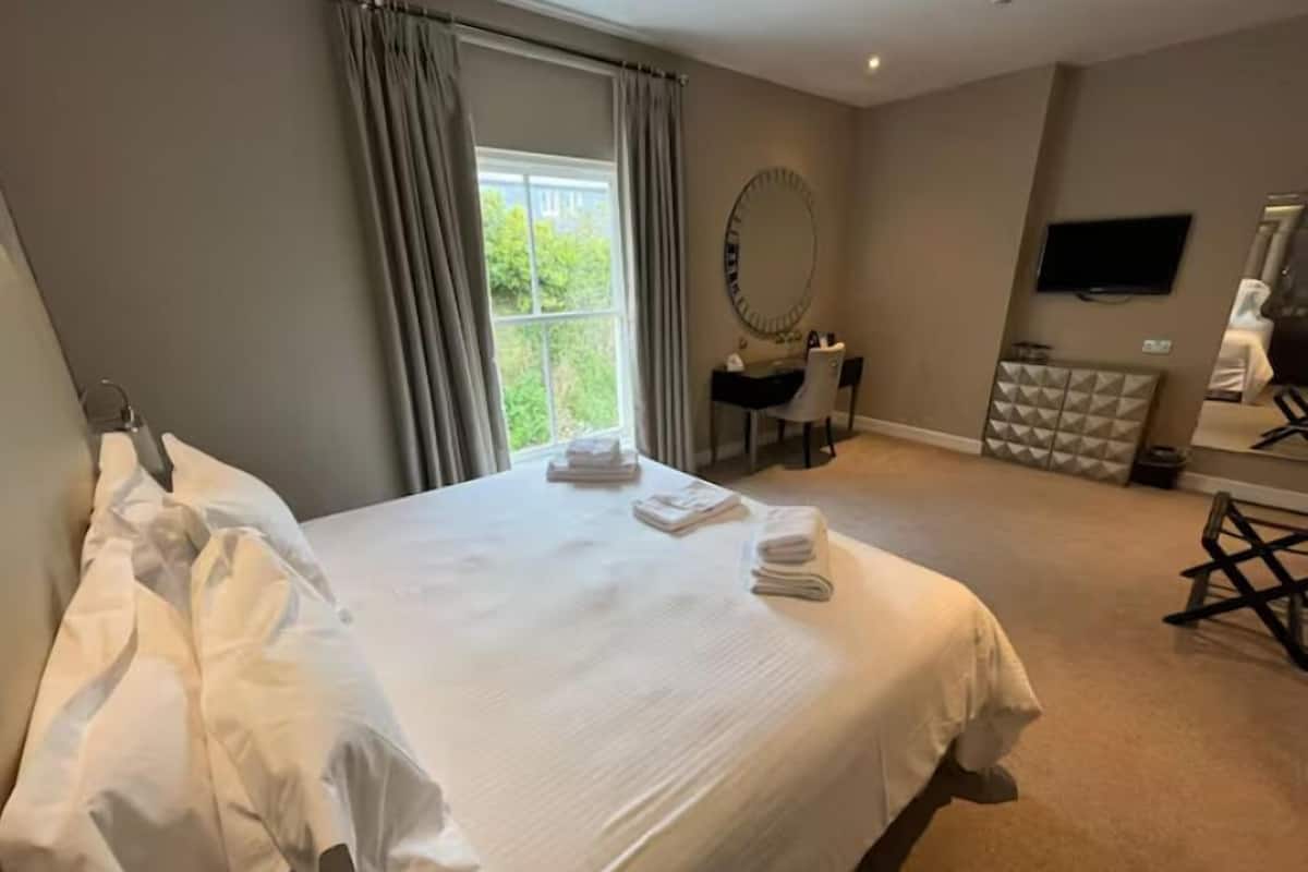 A hotel room with a large bed, a desk, a chair, a television, and a view of greenery outside.