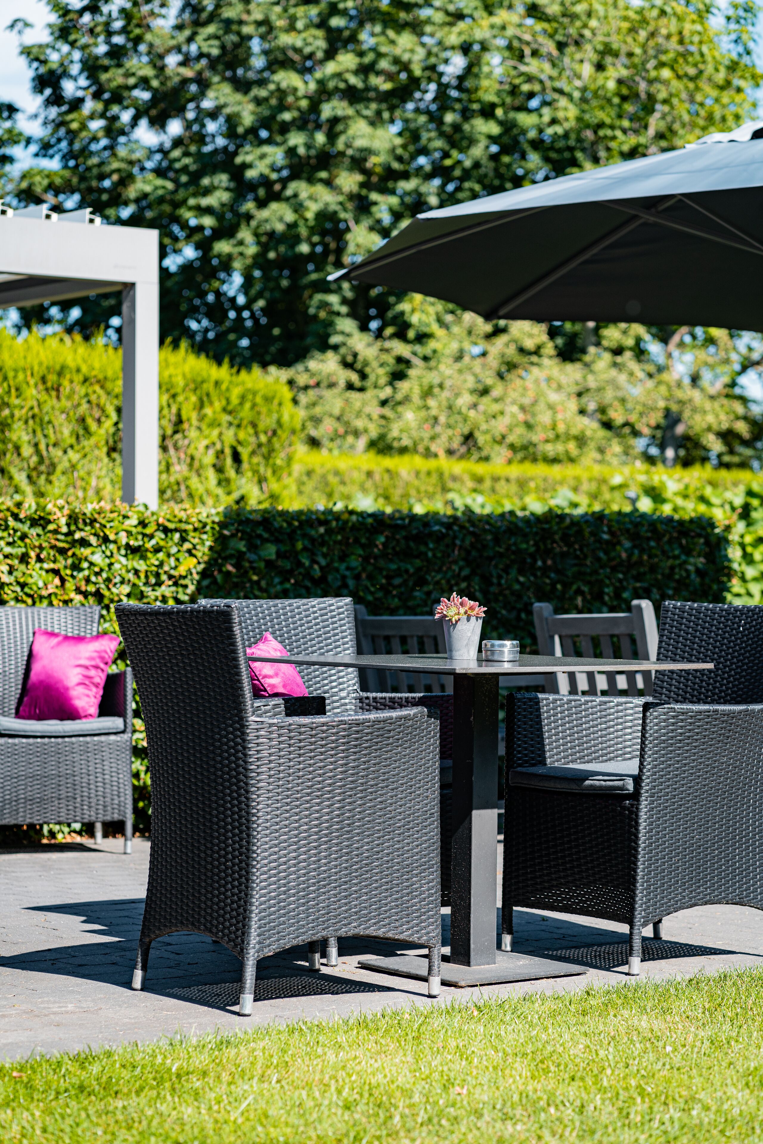 Utsikt mot trädgården