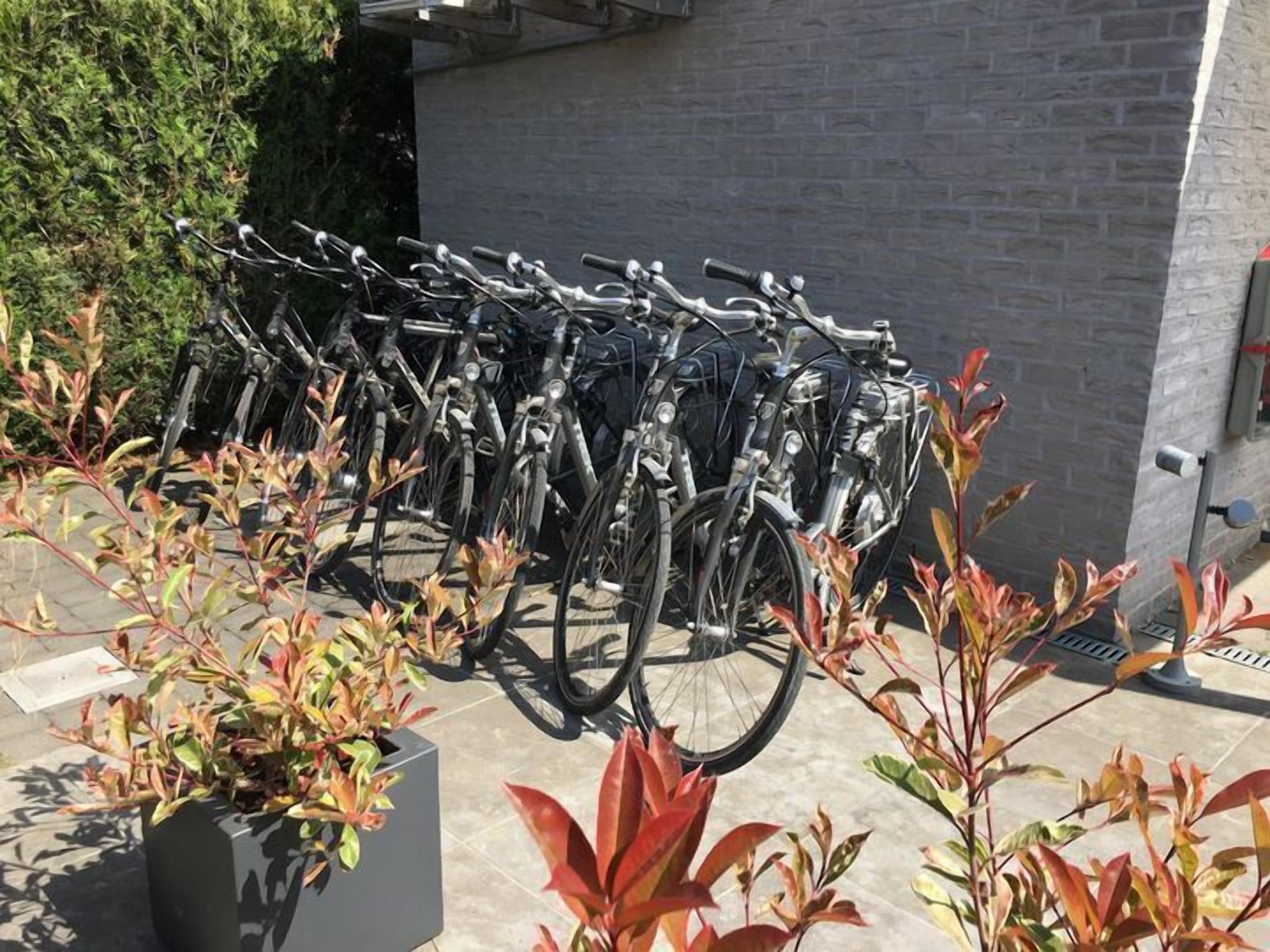 Une rangée de vélos est garée devant un bâtiment dont le mur est en briques, et un pot de fleurs se trouve au premier plan.
