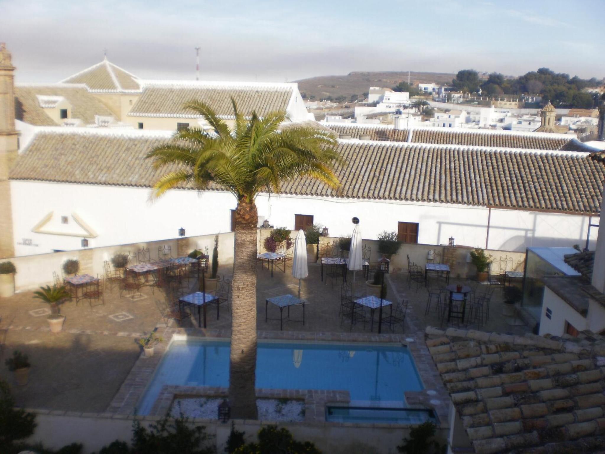 A rooftop pool area with outdoor seating and a palm tree.