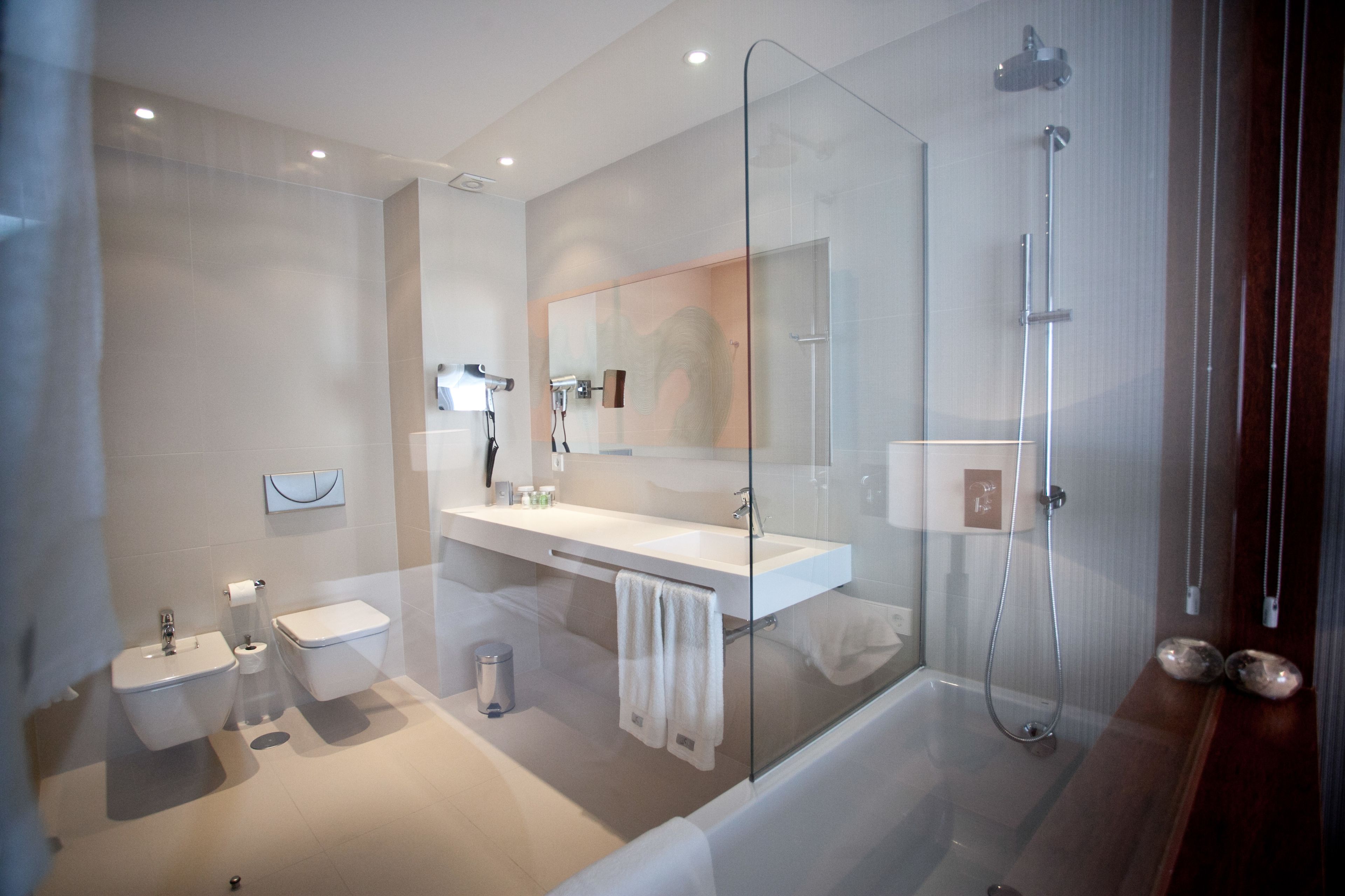 combined shower/bathtub, free toiletries, hair dryer, bidet