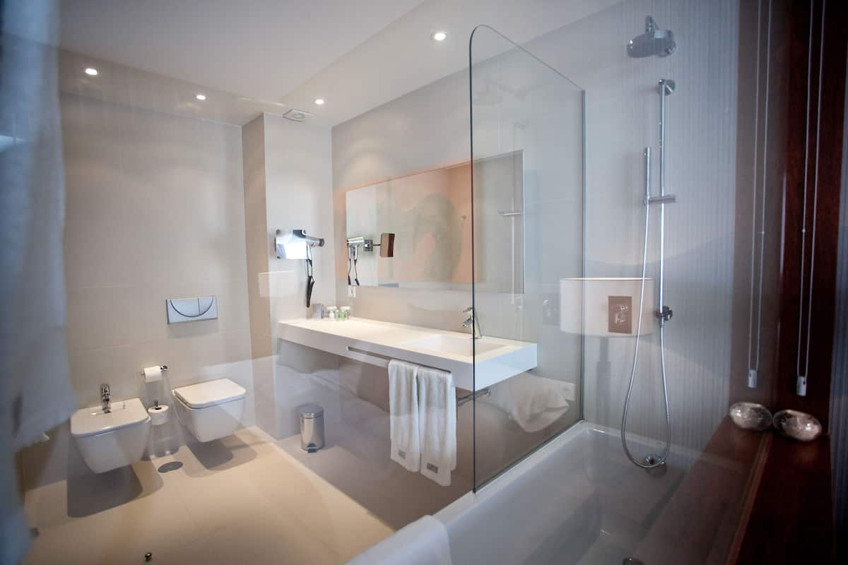 combined shower/bathtub, free toiletries, hair dryer, bidet