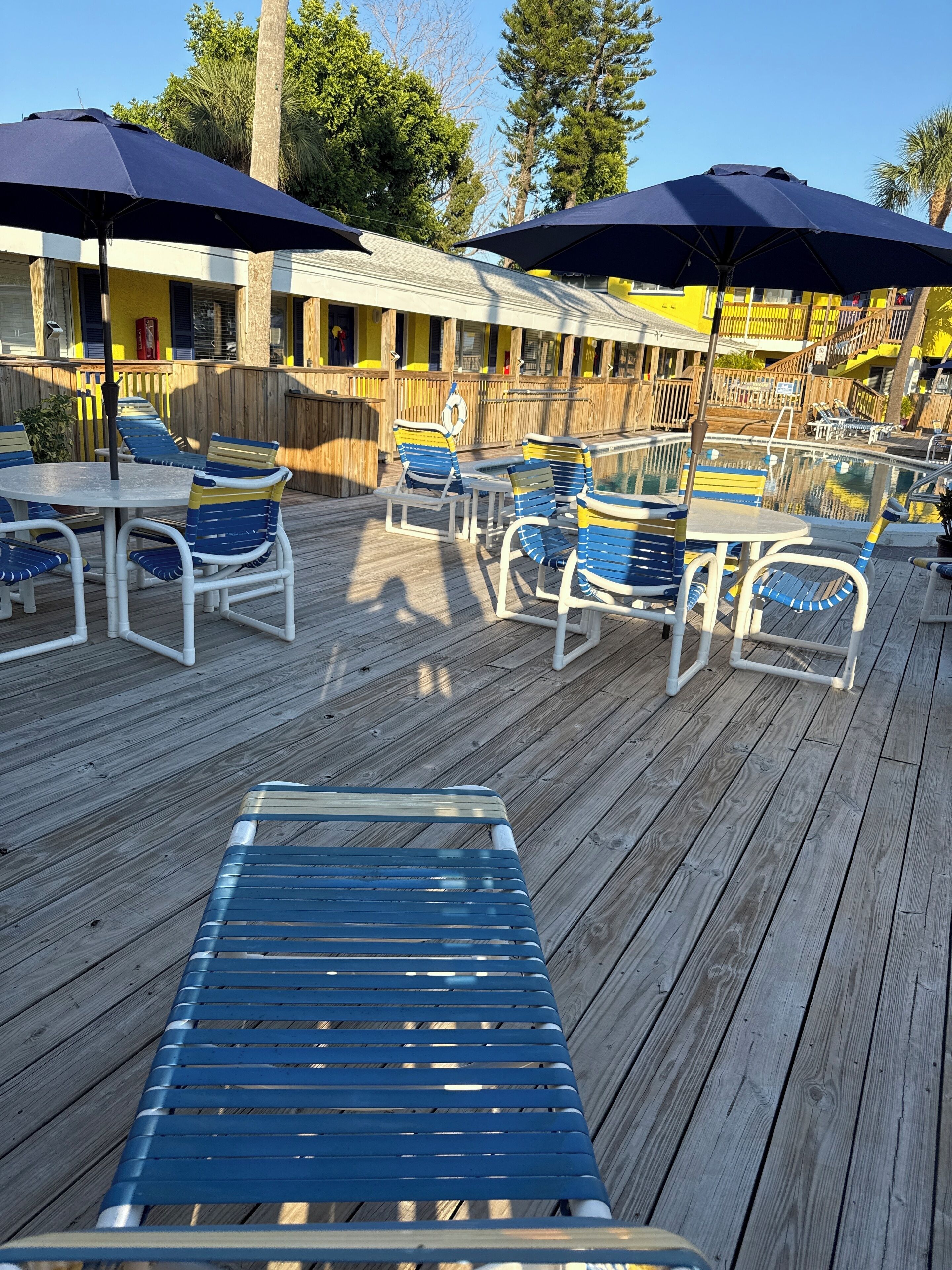 Outdoor pool, pool loungers