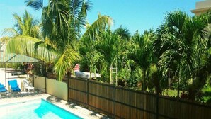 Piscina rodeada por palmeiras e uma cerca de madeira.