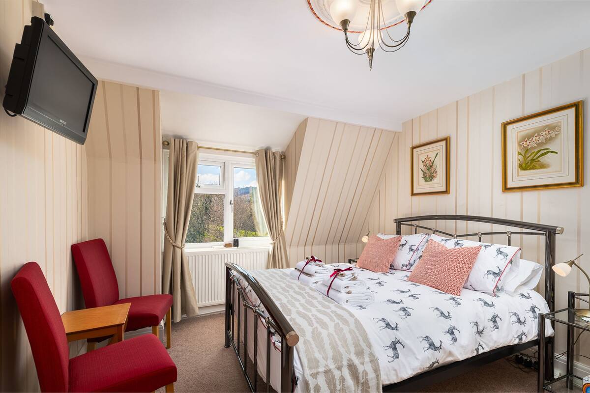 Family Suite, 2 Bedrooms