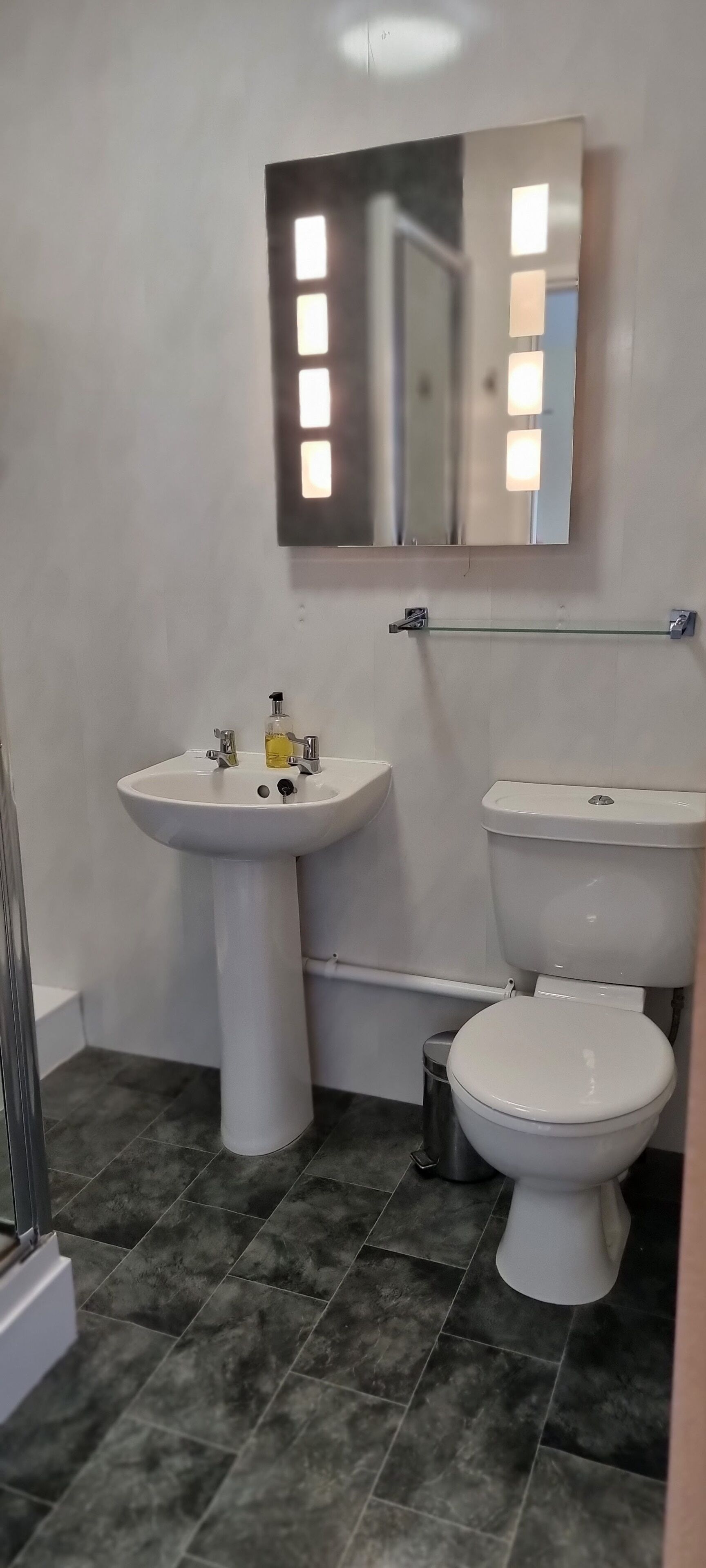 A bathroom with a pedestal sink, a toilet, and a mirror.
