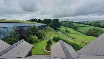 A view of a building with a sloped roof, surrounded by green fields and trees under a cloudy sky.