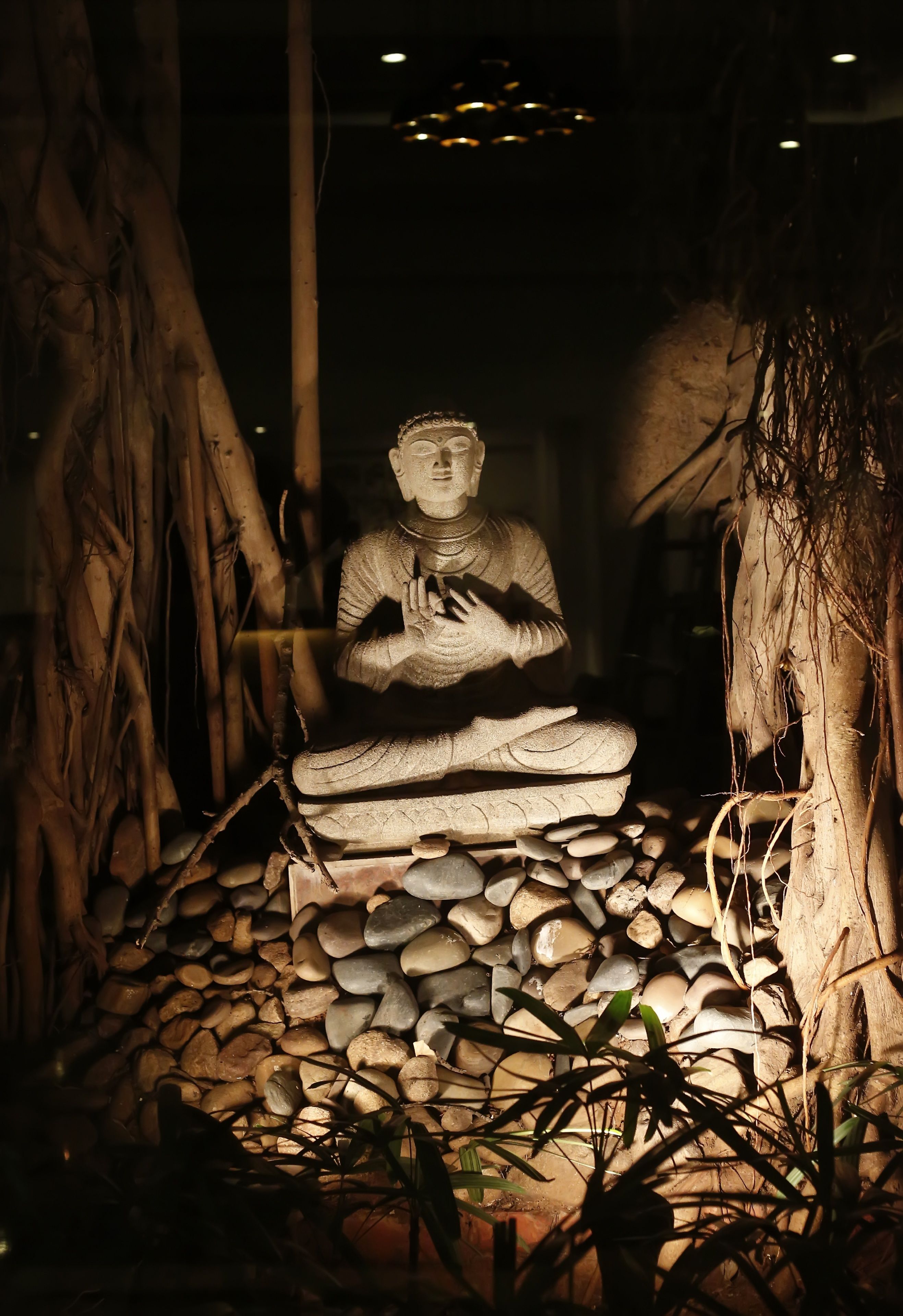 Una estatua de una figura sentada en un espacio interior tenuemente iluminado, con un pedestal de piedra y follaje circundante.