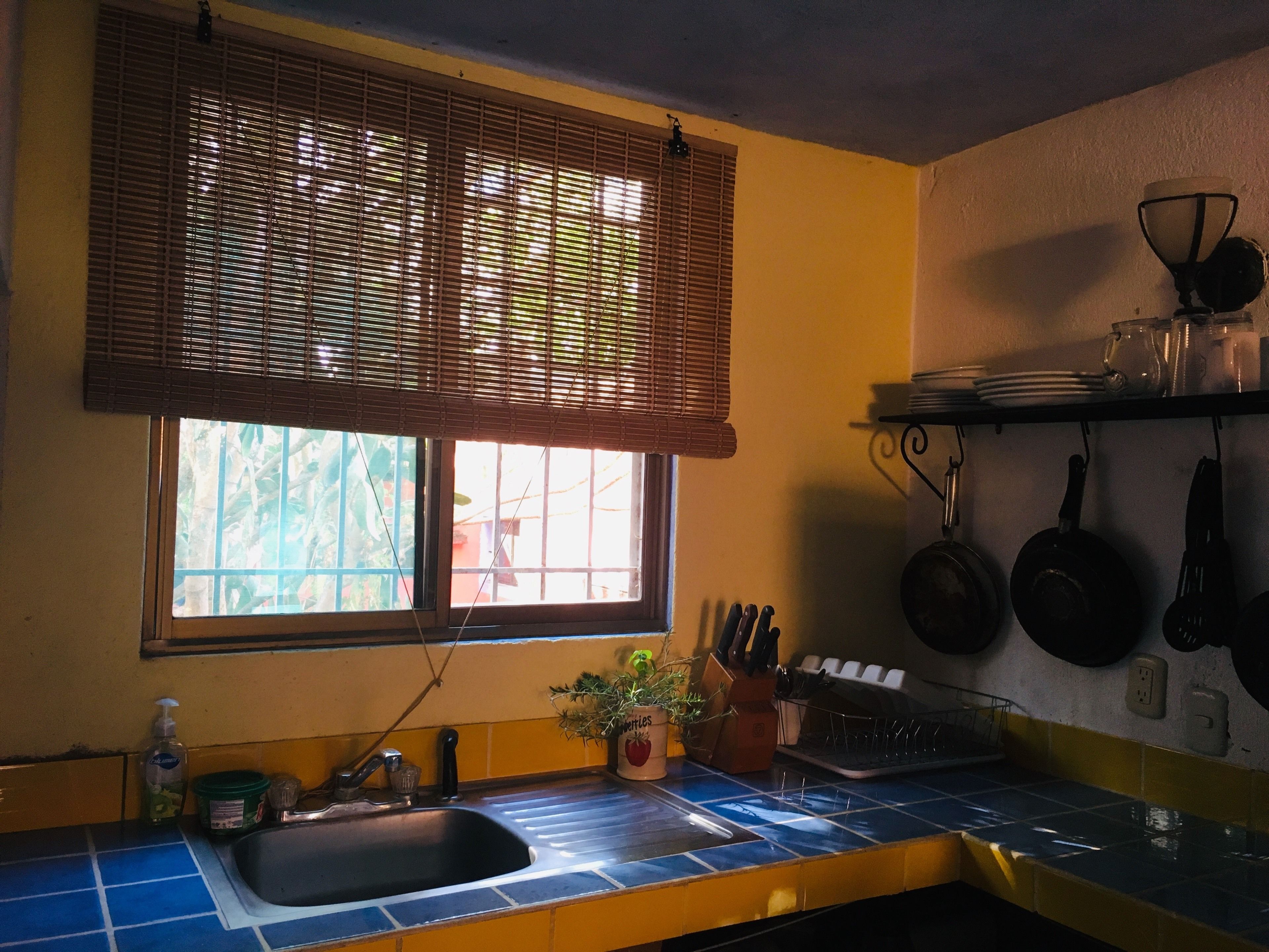 junior studio, multiple beds, garden view, garden area | private kitchen